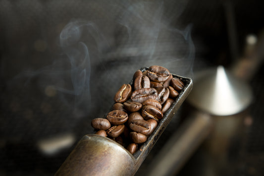 What is a Specialty Coffee Roaster?