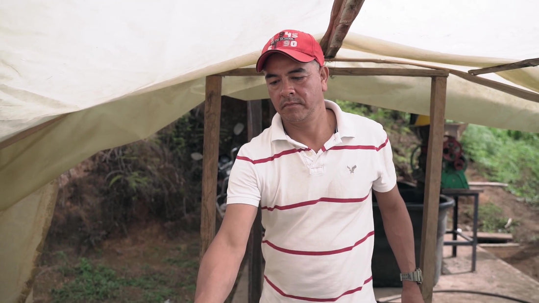 The Resilient Spirit of Inza Cauca: A Story of Coffee, Conflict, and Hope