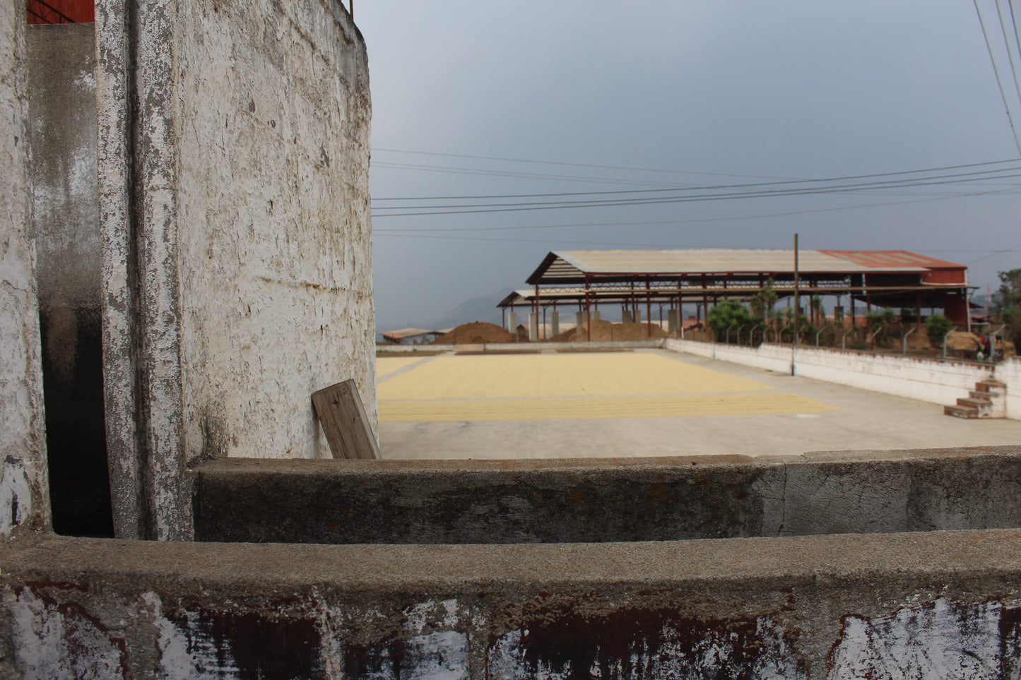 Guatemalan Specialty Coffee drying